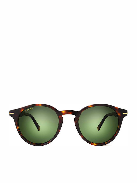 Polar Gold 111 Ochelari de soare Maro cu Cadru & Verde Lentilă Polar Gold 111 Ochelari de soare Maro cu Cadru & Verde Lentilă