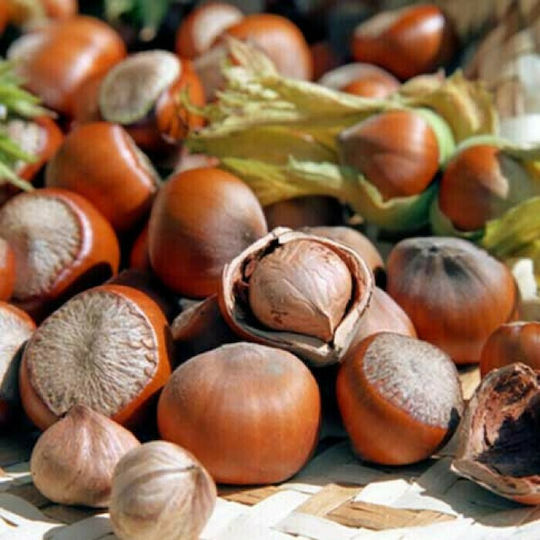 TPA Άρωμα Hazelnut 10ml 1τμχ