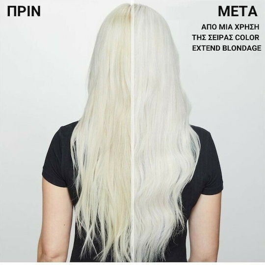Redken Color Extend Blondage VI Șampon de Reconstrucție/Hrană și Păstrarea Culorii pentru Păr Vopsit 300ml