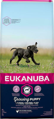 Eukanuba Growing Puppy Large Breed 15kg Dry Food for Puppies of Large Breeds with Chicken