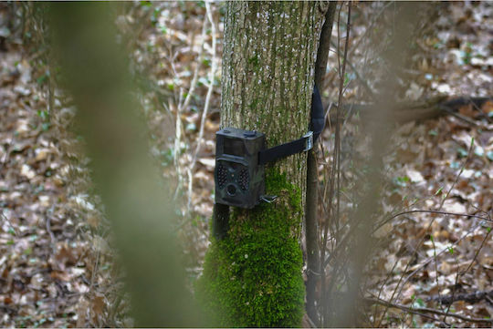 Braun Phototechnik Phototechnik Scouting Camera de vânătoare Cu vedere pe timp de noapte Cu detectare de mișcare