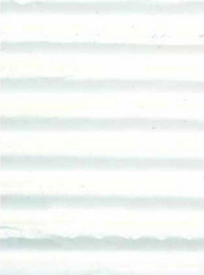 Rainbow White
