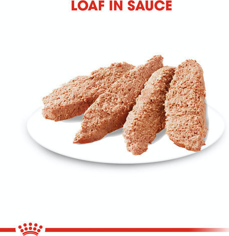 Royal Canin Sterilised Wet Food Dogs in Pouches with Meat 12x85gr