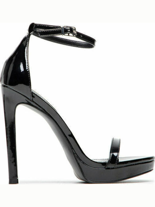 Steve Madden