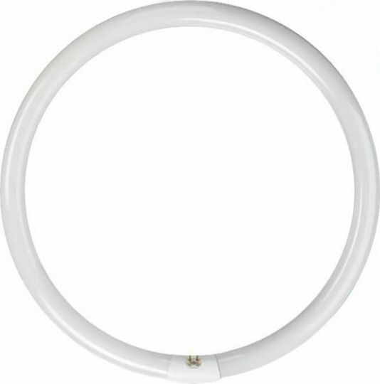Ledvance Lampa Fluorescentă Pentru Bază De Bec 2GX13 Cu Formă T9 40W