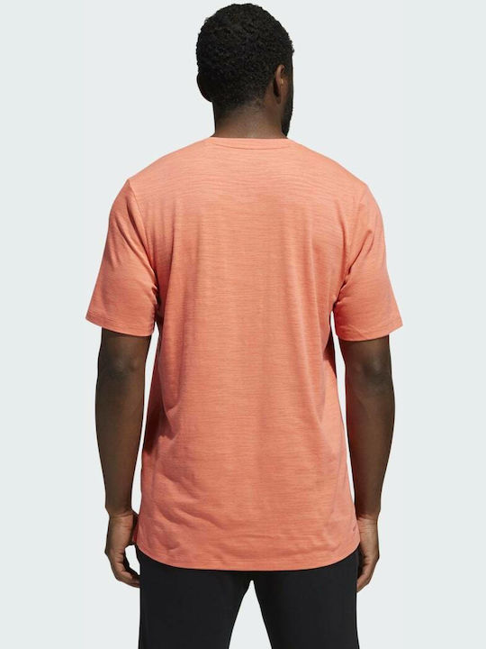 Adidas City Elevated Herren T-Shirt Kurzarm Ambient Blush