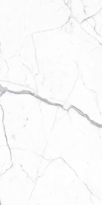 Ravenna Lux Floor Interior Gloss Porcelain Tile 240x120cm Statuario