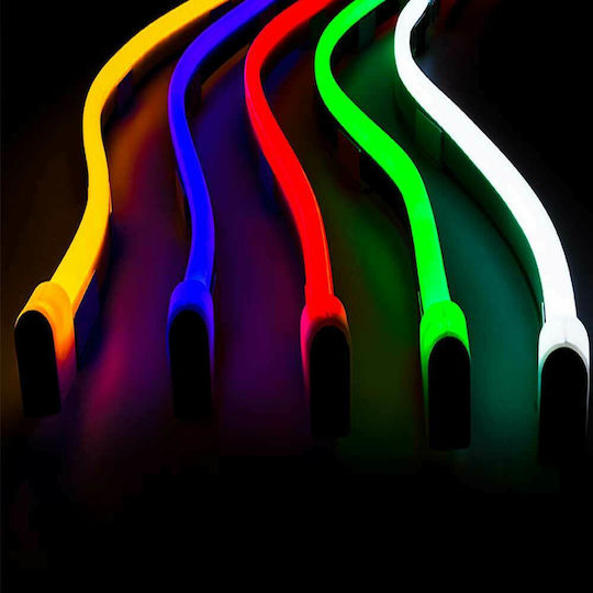 Astralux Αδιάβροχη Ταινία LED 220V RGB Φως 5m Neon Flex με Τροφοδοτικό