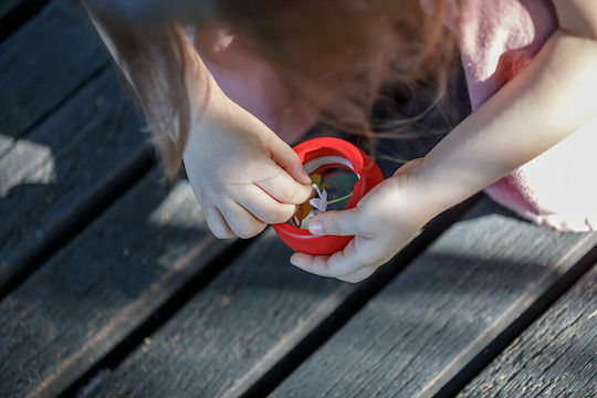 Plan Toys Дървен калейдоскоп
