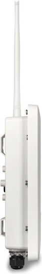 Draytek Vigor AP 918RPD Zugangspunkt Wi‑Fi 5 Dualband (2,4 & 5 GHz) für Draußen Platzierung
