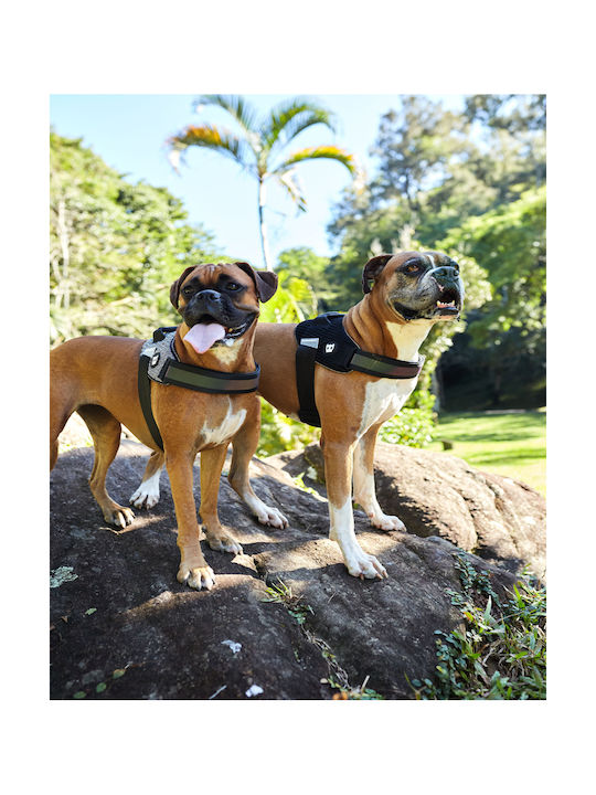 Zee-Dog Wicked Fly Harness 34-49εκ. Size 1