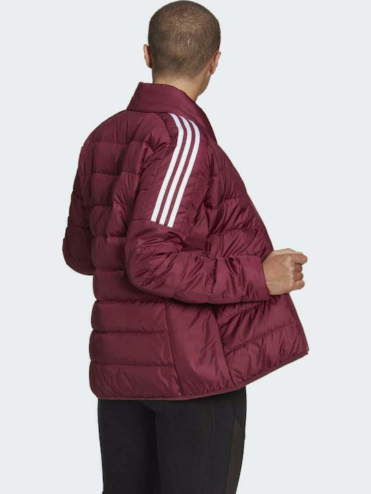 adidas adidas