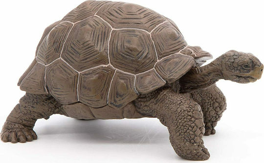 Papo Țestoasă Galápagos Pentru 3+ Ani 5.3 Cm