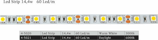 Spot Light Ταινία LED 24V Ψυχρό Λευκό Φως 5m Τύπου COB