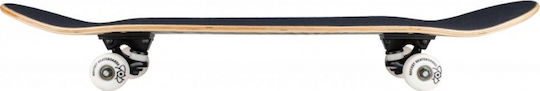 Rocket Foil Twisted Complete Shortboard 7" Multicolour