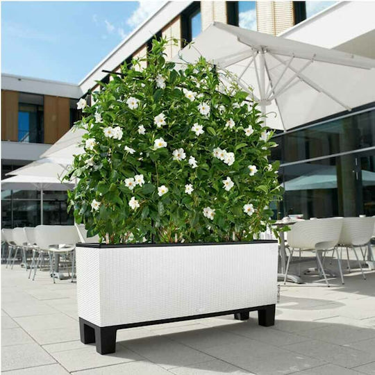 Lechuza Suport pentru ghiveci din plastic Negru 126bucx38bucx15buccm.