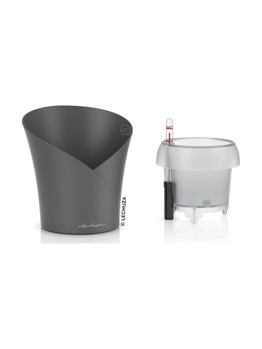 Lechuza Orchidea Self-watering Pot Plastic 18x18x20cm.