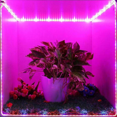 Strip Grow Light with LED 30W 100cm