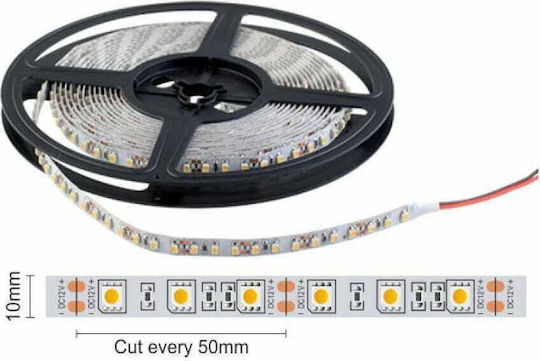 Spot Light LED-Streifen 24V RGB Licht 5m