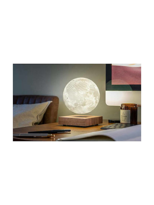 Gingko Decorative Lamp Moon Light LED Beige