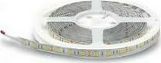 Lucas Αδιάβροχη Ταινία LED 12V Θερμό Λευκό Φως 5m Τύπου SMD5050