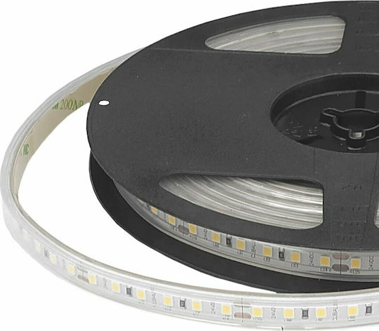 Cubalux Rezistent la apă Bandă LED 24V Alb Cald Lumină 5m