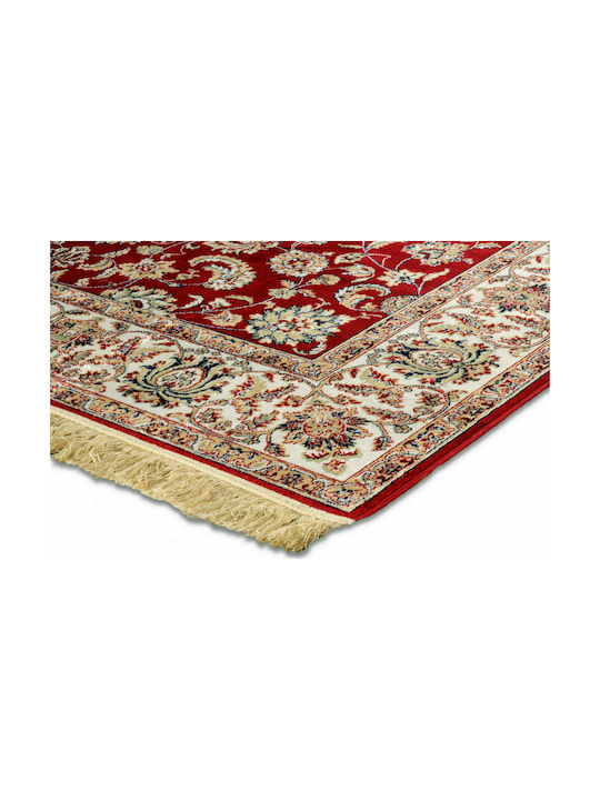 Newplan Sonia 553/301220 Rug Round Summer with Fringes Red