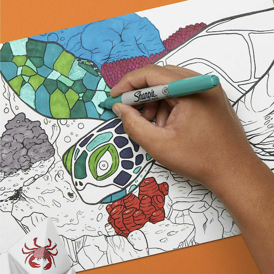 Sharpie Permanent Ανεξίτηλοι Μαρκαδόροι Assorted Colours Σετ 24 χρώματα