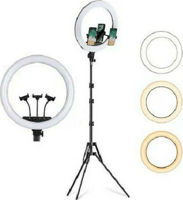 CXB-360 Ring Light 35.56cm 2700 - 5600K with Tripod Floor and Mobile Holder