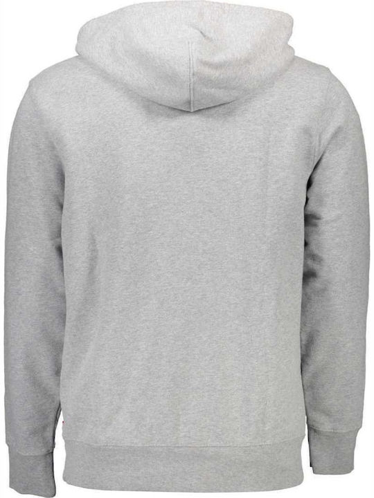 Graphic Sweatshirt with Hood Gray