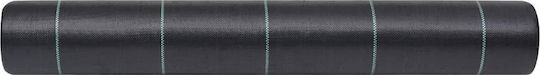 vidaXL 313065 Ground Cover Fabric 60gsm 2x10m Black