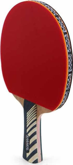 Karakal Rachetă De Ping Pong Pentru Jucători Începători
