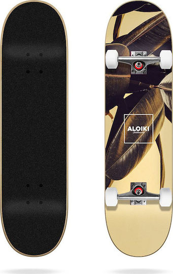 Aloiki Bali 8" Complete Shortboard Πολύχρωμο