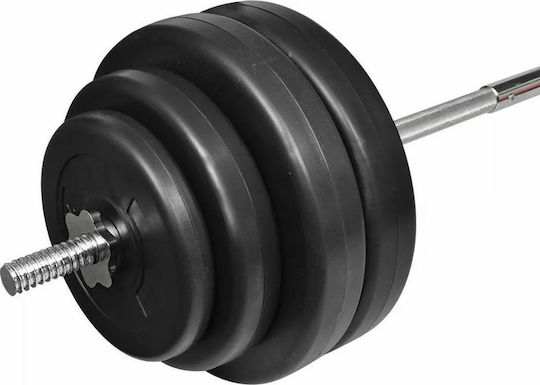 vidaXL Straight Bar Φ25mm Set with Strength Training Weight 60kg 165cm Length with Spinlock