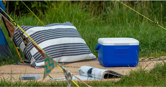 Coleman 5 QT Performance 6 Personal Cooler Portable Fridge 4lt Blue