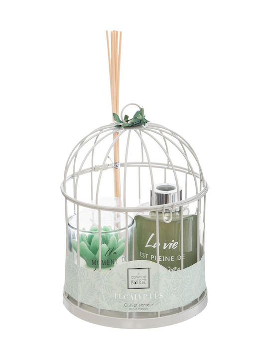 Set Diffuser mit Duft Eukalyptus 135347B 3Stück 100ml