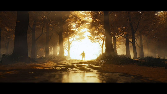 Ghost of Tsushima Director's Cut Edition PS4 Game