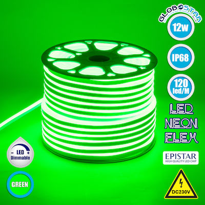 GloboStar Waterproof Neon Flex LED Strip Power Supply 220V with Green Light Length 1m and 120 LEDs per Meter