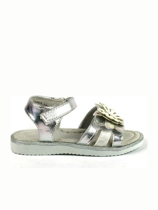 IQ Shoes