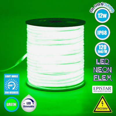 GloboStar Wasserdicht Neon Flex LED Streifen Versorgung 220V mit Grün Licht Länge 1m und 120 LED pro Meter
