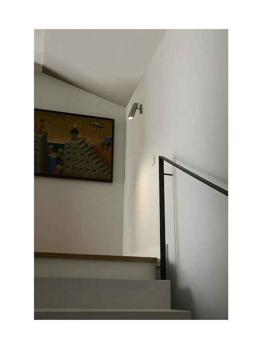 Faro Barcelona Single Spot with Socket GU10 in Gold Color