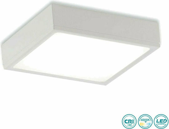Fan Europe Klio Panou LED În Aer Liber 36W 21.1x21.1cm Fan Europe Klio Panou LED În Aer Liber 36W 21.1x21.1cm