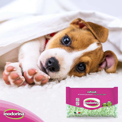 Inodorina Refresh Dog Body Cleansing Wipes with Chlorhexidine Alcohol Free 30x20cm