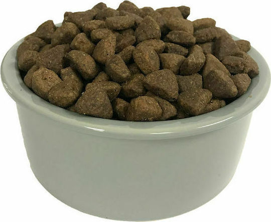 Wellness Core Puppy Original Large Breed 10kg Dry Food Grain-Free for Large Breed Puppies with Turkey and Chicken