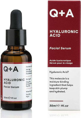 Q+A Natural Skincare Acid Feuchtigkeitsspendend & Anti-Aging Serum Gesicht mit Hyaluronsäure 30ml