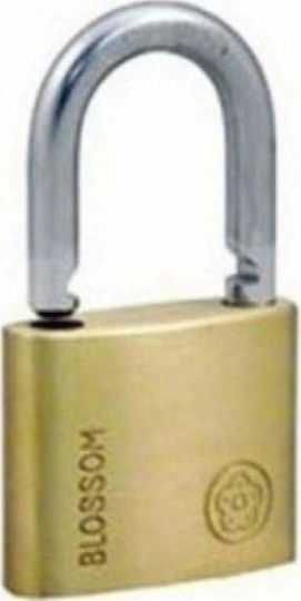 Blossom BC90 Steel Padlock Brass with Key 25mm 4pcs