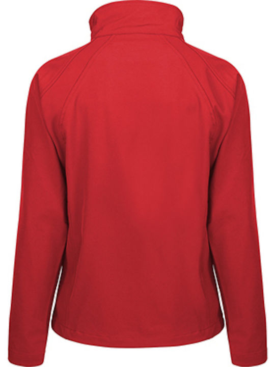 Base Layer