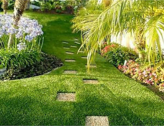 Synthetic Turf in Roll Morea with 2m Width and 40mm Height (price per sq.m)