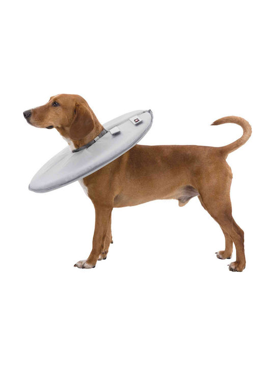 Trixie Protective Hundehalsband aus in Weiß Farbe Groß 46-49cm/24cm Groß