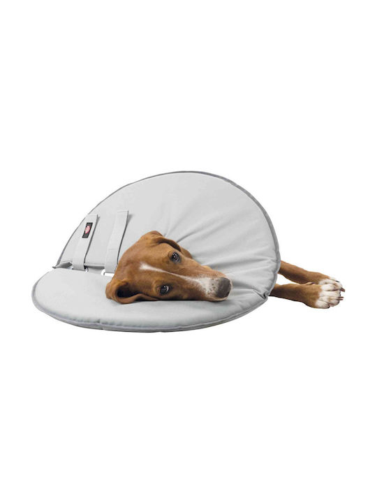 Trixie Protective Hundehalsband aus in Weiß Farbe Groß 46-49cm/24cm Groß